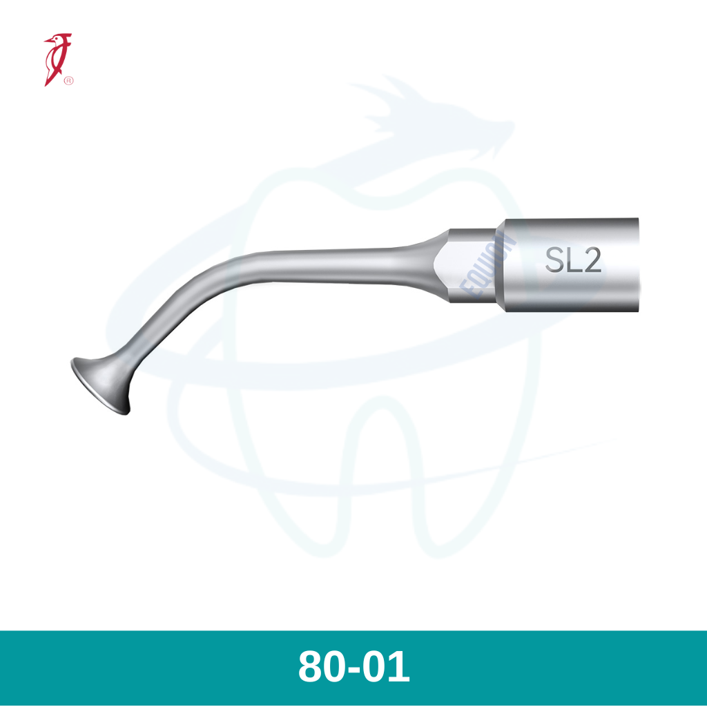 Tip scaler SL2