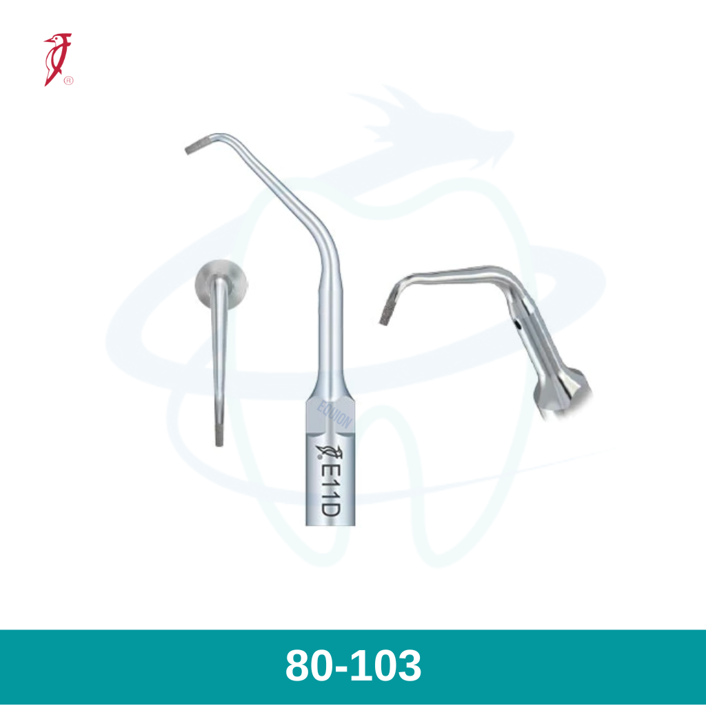 Tip scaler E11D